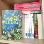 Avis lecture : Un abri de fortune de Agnès Ledig